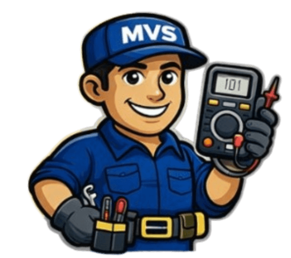 MVS Secure
